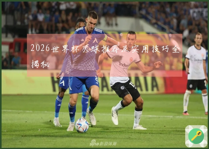 2026世界杯买球推荐及实用技巧全揭秘