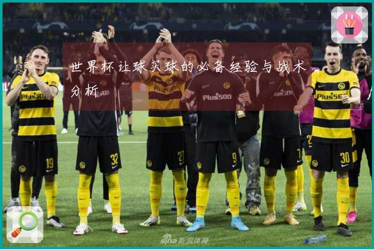 世界杯让球买球的必备经验与战术分析