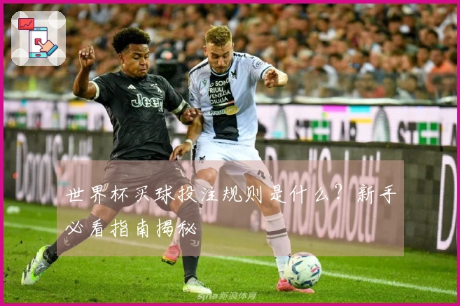 世界杯买球投注规则是什么？新手必看指南揭秘