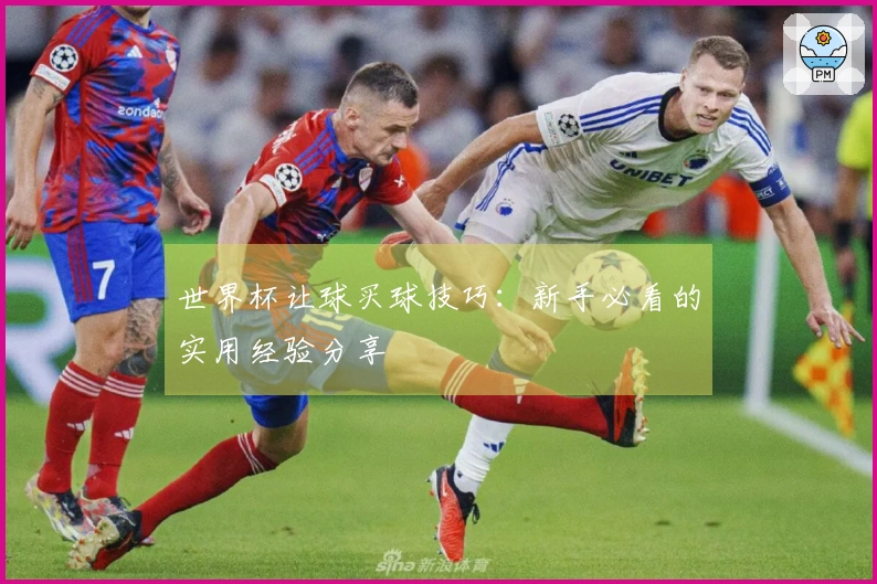 世界杯让球买球技巧：新手必看的实用经验分享