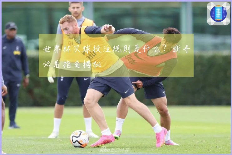 世界杯买球投注规则是什么？新手必看指南揭秘