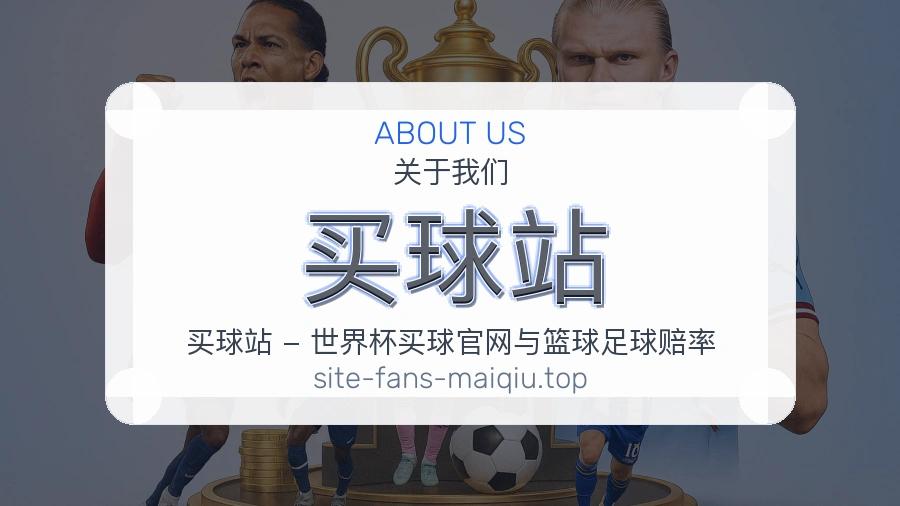 关于 买球站 团队与服务